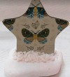 Αστεράκι Ξύλινο Τυπωμένο Σε Πέτρα Με πεταλούδα Μπομπονιέρα Βάπτισης τιμή 1.85€