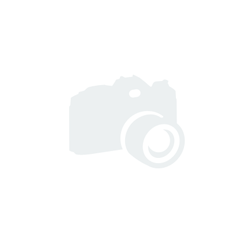 Ξύλινο Με Εκτύπωση ζωάκι αλεπού Σε Βότσαλο Μπομπονιέρα Βαπτισης τιμή 1.69€